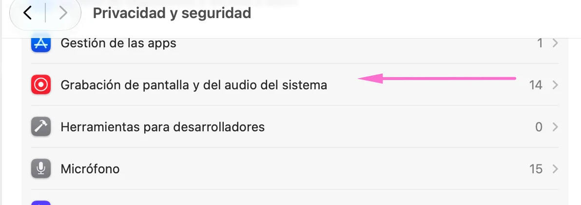 Opción Grabación de pantalla y del audio del sistema